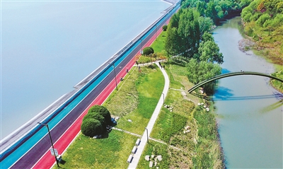 春光明媚 沿江拾绿