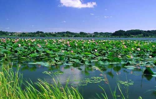 国内十大亲水避暑胜地推荐