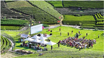 “艺术村长”领衔 茶园里听音乐会 看茶山下，这座被艺术唤醒的美丽村庄