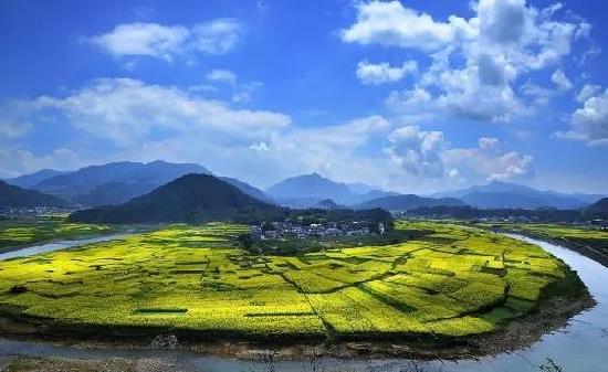 賞花地址: 淳安縣千島湖鎮浪川鄉芹川村 淳安縣千島湖鎮汾口鎮 淳安縣